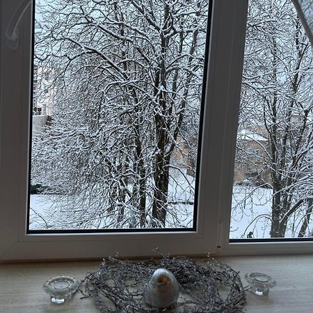 Cozy Studio Apartment In The Center Of Riga Eksteriør billede